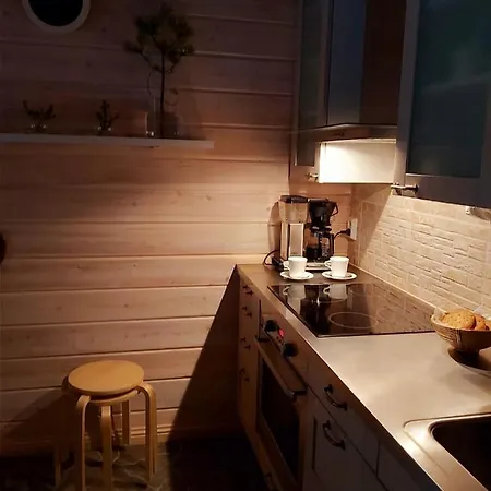 Lumikonpesae 4 B * Рука