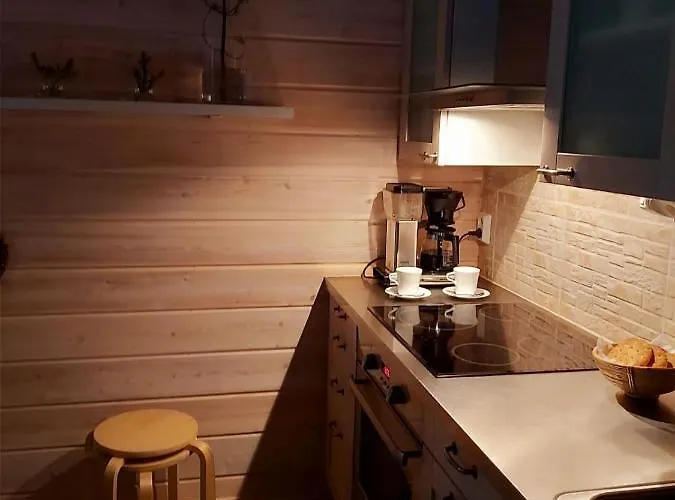 Usva - Lumikonpesae 4 B * 鲁卡